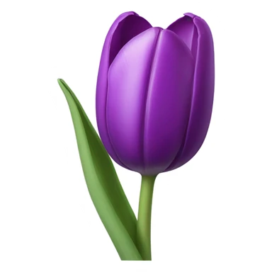 Purple tulip sticker