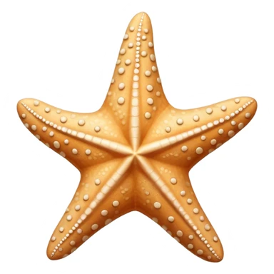 Beige and white starfish sticker