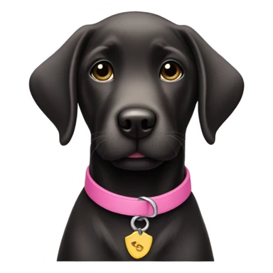 Black lab puppy with pink collar sticker