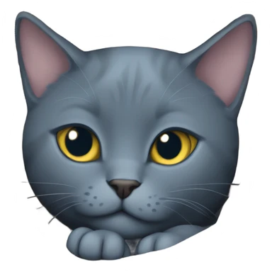 Russian blue cat snuggled into ball  sticker