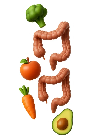 emoji stile iphone in 3d di cibo sano che fluttua in aria vericalmente insieme a pezzi di colon umano anatomico, iperrealistico 4k sticker