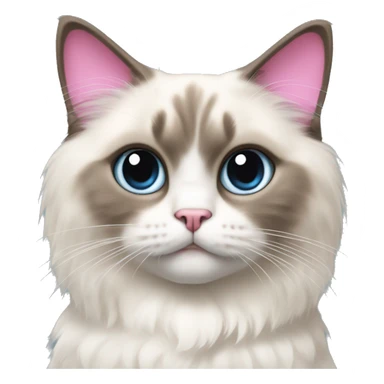 Ragdoll cat with pink bows on ears sticker