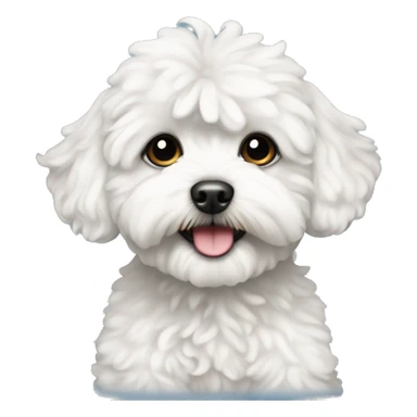 White and black maltipoo sticker