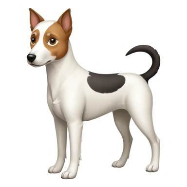 a full body large white parson russell looking dog the size of a kelpie with light brown ears and a light brown patch on one eye and a large snout sticker