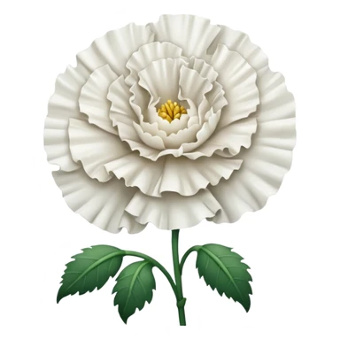 White Carnation flower sticker