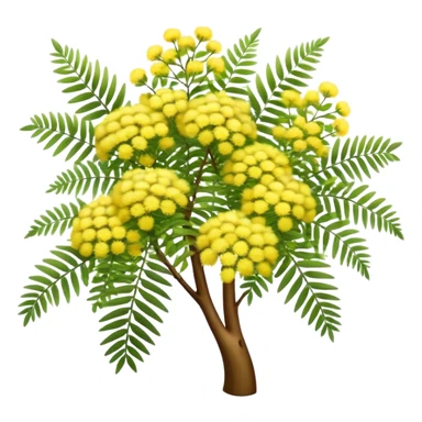 Cinematic Realistic Acacia Emoji, Bright and cheerful, with clusters of fluffy yellow flowers blooming along delicate branches. The wattle’s soft, fern-like leaves sway in the breeze, radiating a sense of warmth and joy. Soft glowing outline, capturing the essence of Australian sunshine, warmth, and beauty in a vibrant acacia tree! sticker
