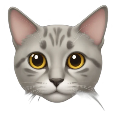 cat new zealand sticker