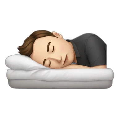 Elon Musk sleeping sticker