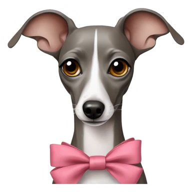 Italian greyhound with bows sticker