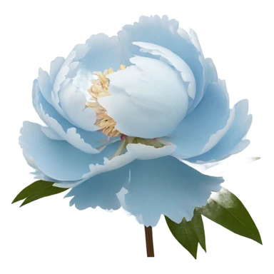 light blue peony sticker