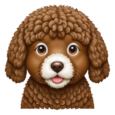 A brown spanish water dog sticker