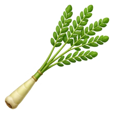 Vegetable drumstick Moringa
oleifera sticker