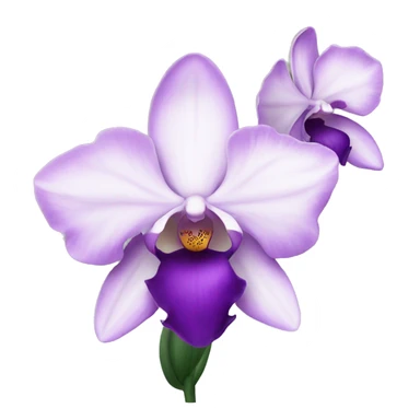 orchid flower sticker