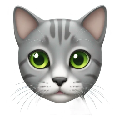 Grey shorthair cat with green eyes  sticker