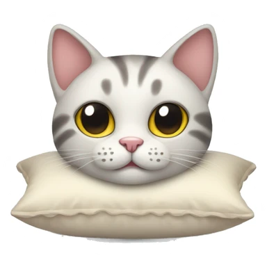 cat with cute pillow sticker