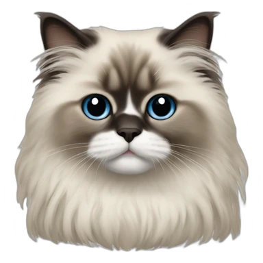 himalayan ragdoll sticker