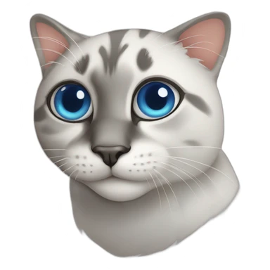 cat ojos azules hermoso sticker