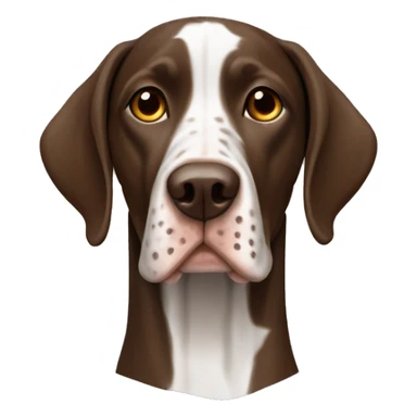brown Braque Francais dog French Pointer  sticker