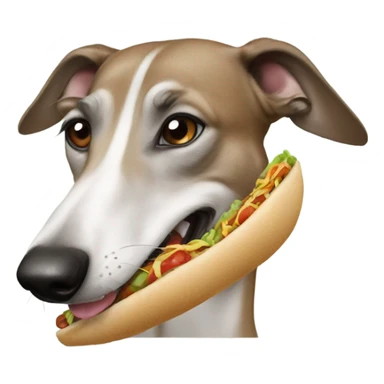 Happy greyhound with taco sticker