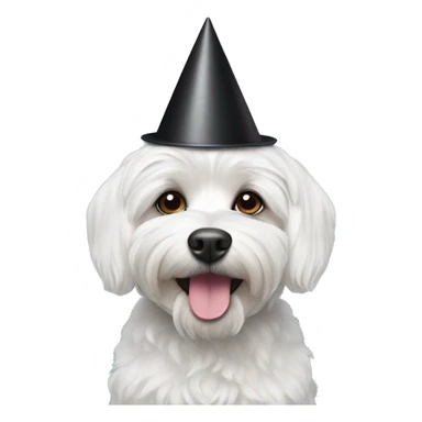 A Maltese black dog wearing a party hat sticker