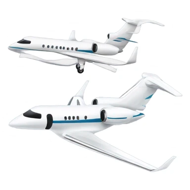 private jet  sticker