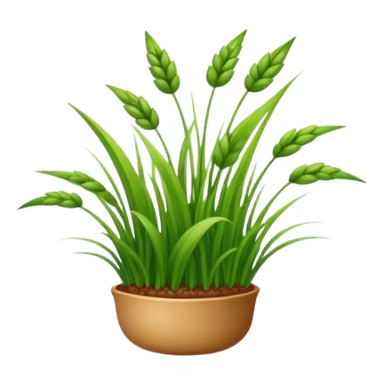 buckwheat grass sticker