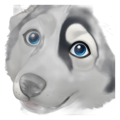 Husky with blue eyes sticker
