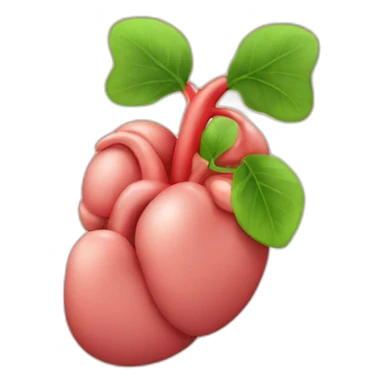 One Kidney organ sticker