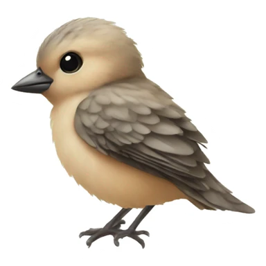 baby bird sticker