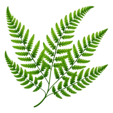 Fern leave sticker