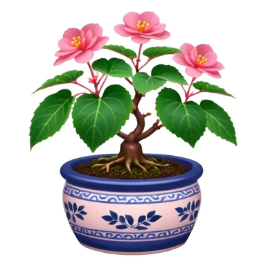 Begonia bonsai sticker