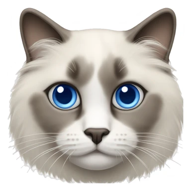 Ragdoll cat with blue eyes smaller head sticker