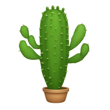 single flat Nopal without pot sticker