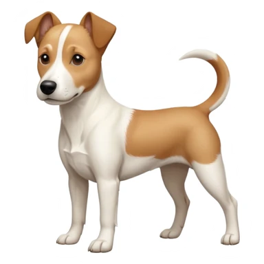 a full body facing front on of a buff white beagle cross jack russell terrier looking dog the size of a kelpie with light brown long ears resting on its face and a light brown patch above one eye and a large snout. the rest of the dog is completely white.  sticker