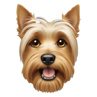 York terrier eat  sticker