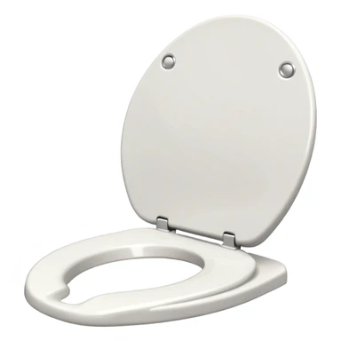 paper Toilet seat  sticker