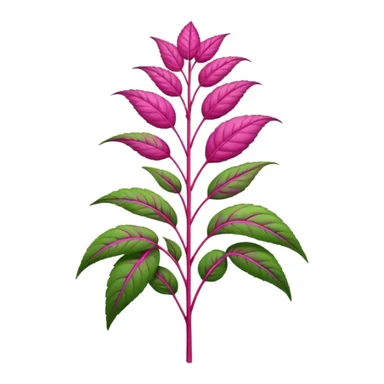 amaranth plant sticker