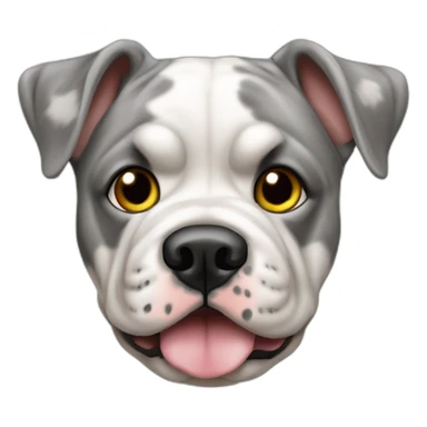 Merle english buldog sticker