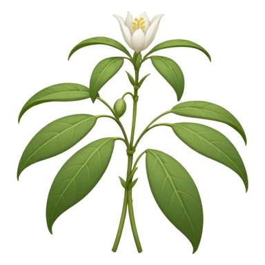 wilted jasmine sticker