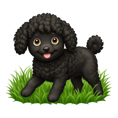 Black doodle dog playing in grass sticker