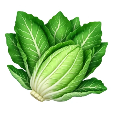 chinese cabbage sticker