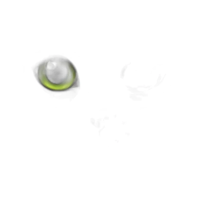 Grey Siberian cat with green eyes sticker