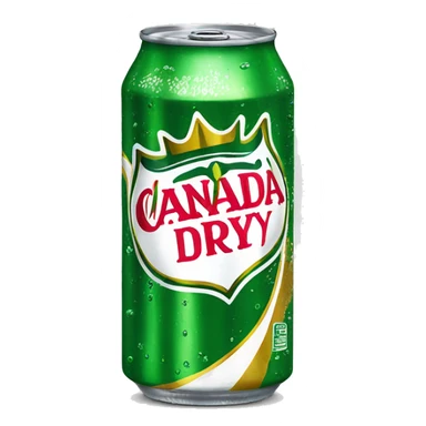 Green soda can with Canada Dry written in gold  sticker