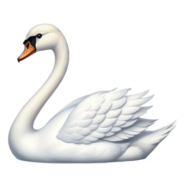 A white swan on the pond. sticker