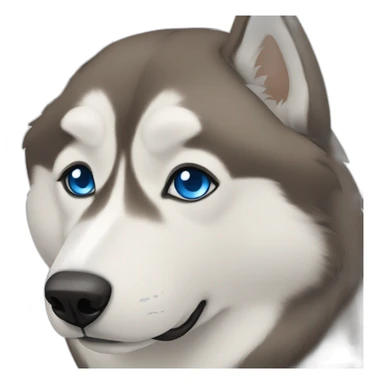 Husky in capuchino colors with one blue eye sticker
