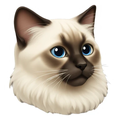 Fluffy Siamese cat sticker