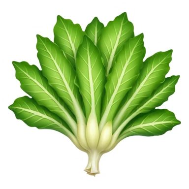 Endive Riccia Cuor D'Oro  sticker