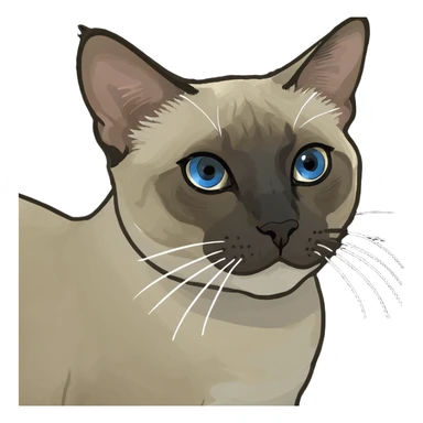 Thai Siamese Cat sticker