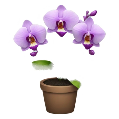 Orchid plant  sticker
