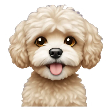 Maltipoo with a small monkey sticker